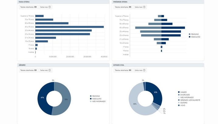 Ferramenta disponibiliza dados nacionais e permite filtrar pesquisa por estado, ano e município